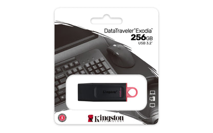 Kingston Technology Data Traveler Exodia DTX/256GB - USB 3.2 Flash Drive